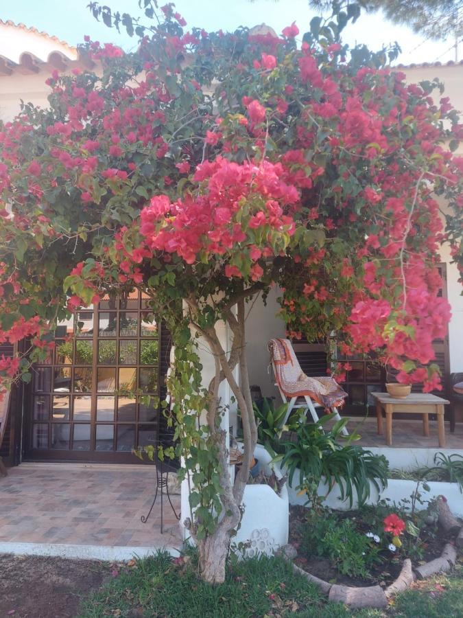 Casa 19 Daire Albufeira Dış mekan fotoğraf