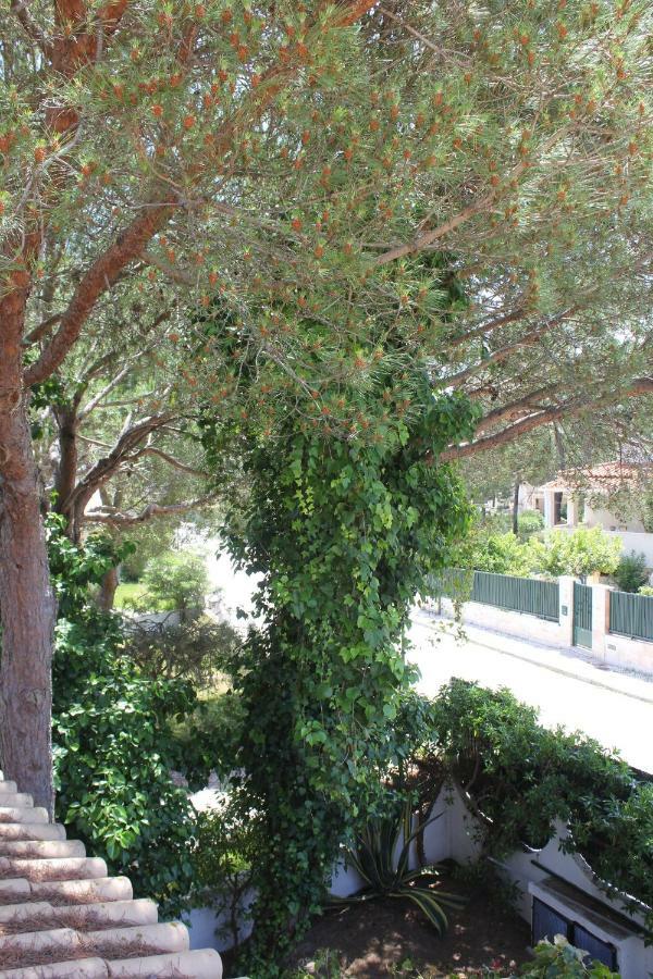 Casa 19 Daire Albufeira Dış mekan fotoğraf