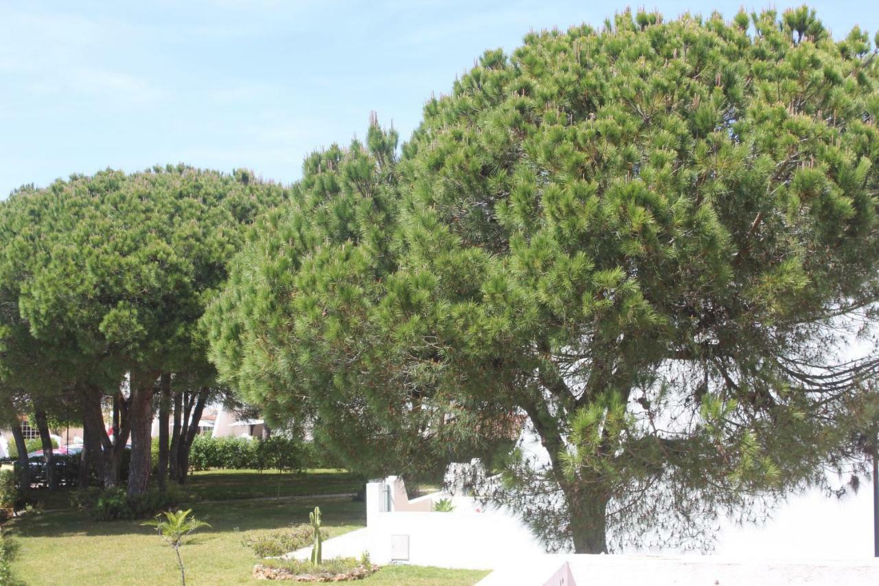 Casa 19 Daire Albufeira Dış mekan fotoğraf